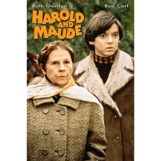 Harold & Maude 1971 (Restored) (4K Fandango At Home)