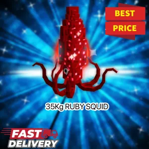 35kg Ruby Squid