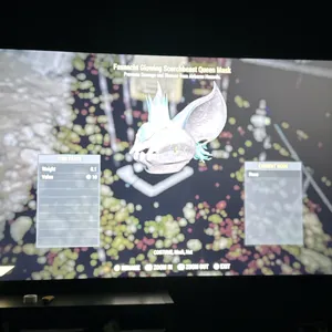 glowing scorch queen