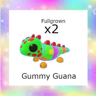 Gummy Guana x2 (fullgrown)
