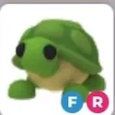 FR TURTLE