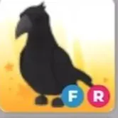 Fr crow