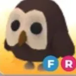 FR OWL