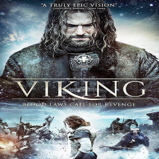 Viking Digital Movies Gameflip
