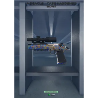 DEAGLE CASE HARDENED SNIPER DUELS 