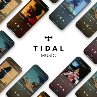 TiDaL HiFi PLuS - 12 Months