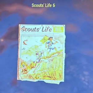 scouts life 6 1000