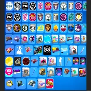 FORTNITE 40 COSMETICS BUNDLE ⚡️GLOBAL⚡️