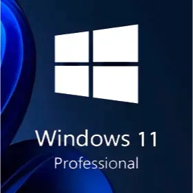 Windows 11 Pro ⚡️FAST DELIVERY⚡️