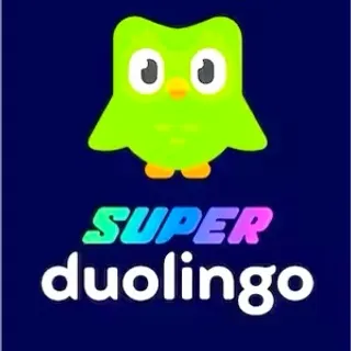 Duolingo Super Individual Subscription 1 Year (Global)