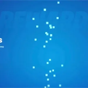 Custom Order Fortnite