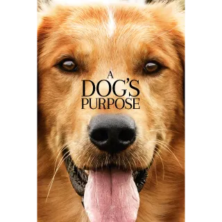 A Dog's Purpose 4K UHD Digital Movie Code!!