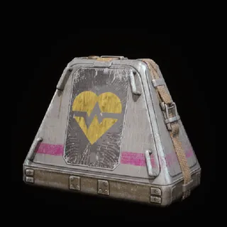 20 Survivor