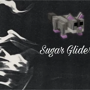 Sugar Glider