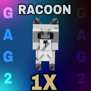 Racoon 1X