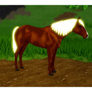 Wild Horse Islands | IUH Quarter