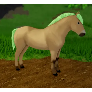 Wild Horse Islands | IUH Fjord