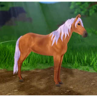 Wild Horse Islands IUH Marwari