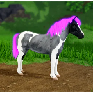 Wild Horse Islands IUH Icelandic