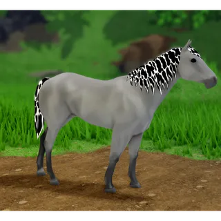 Wild Horse Islands IUH Quarter