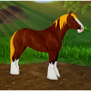 Wild Horse Islands IUH Clydesdale