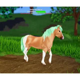 Wild Horse Islands | IUH Icelandic