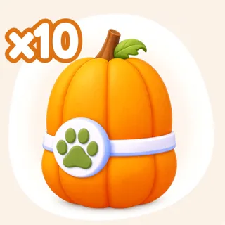 Pet City x10 Pumpkin Eggs
