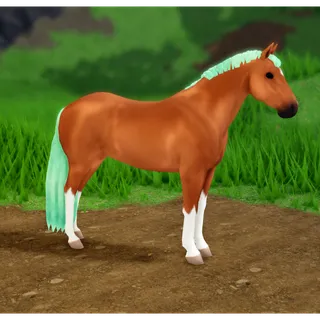 Wild Horse Islands IUH Connemara