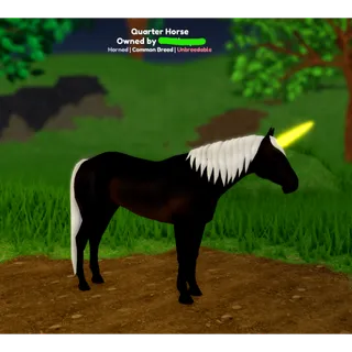 Wild Horse Islands | Horned Qtr