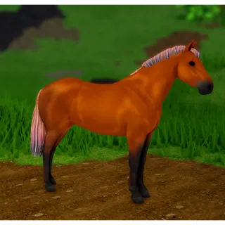 Wild Horse Islands IUH Connemara