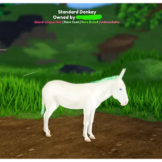 Wild Horse Islands | IUH Donkey