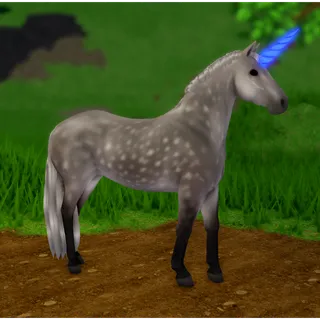 Wild Horse Islands Horned Connemara