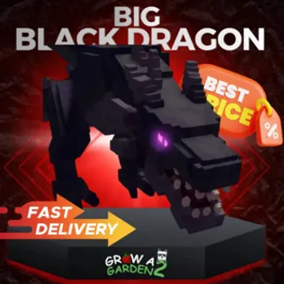 BIG BLACK DRAGON