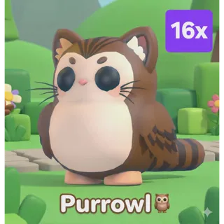 PURROWL 16X