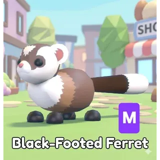 MEGA BLACK-FOOTED FERRET