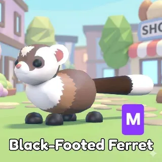MEGA BLACK-FOOTED FERRET