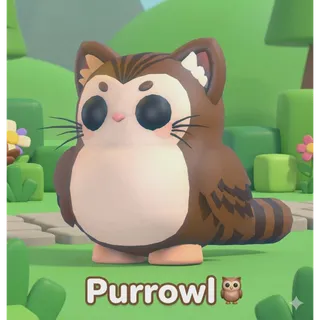 PURROWL | ADOPT ME