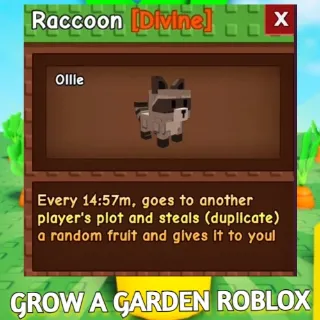 RACCOON GROW A GARDEN