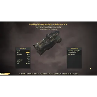 Apparel | Set Uny/Sent/AP X-01 PA