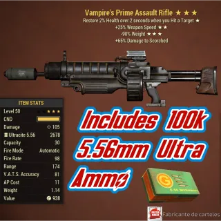 V2590 Rifle Assault + 100k Ammo