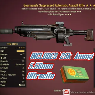 GE15fr Rifle Assault + 25k Ammo Ultra