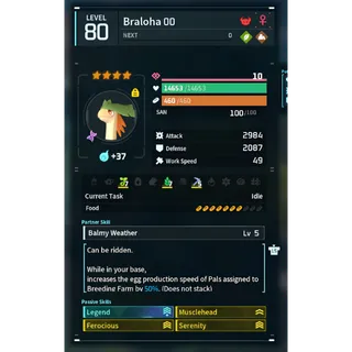 BRALOHA ( GOD ROLL ⚡ )