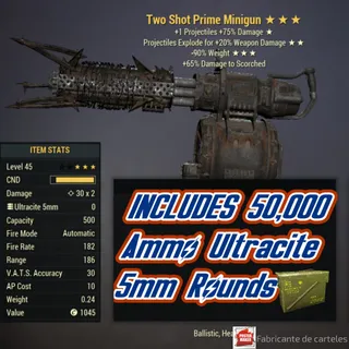 TSE90 MINIGUN / TWO SHOT + 40k Caps 