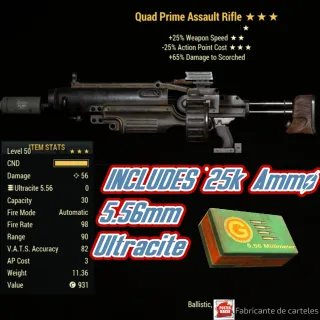 Q2525 RIFLE ASSAULT (Quad MOD-BOX)