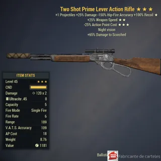 TS2525 LEVER ACTION RIFLE 