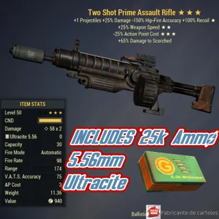 TS2525 RIFLE ASSAULT + 25K AMMO