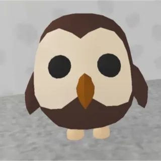 FR owl