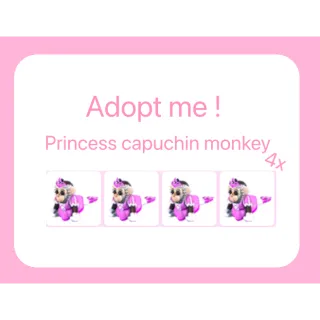 4x princess capuchin monkey