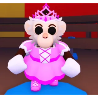 Princess capuchin monkey for sale!