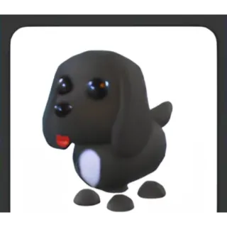 Royal palace spaniel for sale!